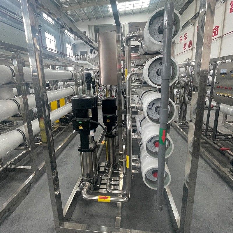 Sistema di osmosi inversa industriale Ro impianto di trattamento dell'acqua per 300 kg